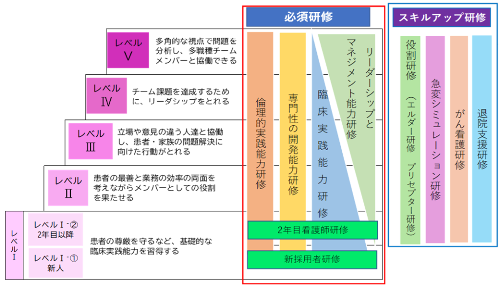クリニカルラダーと教育計画