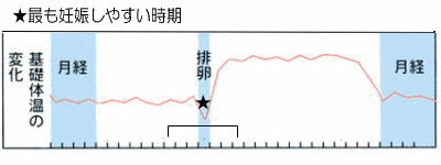 月経グラフ（最も妊娠しやすい時期の説明図）