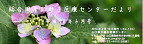 総合周産期医療センターだより　平成28年6月　バックナンバー画像