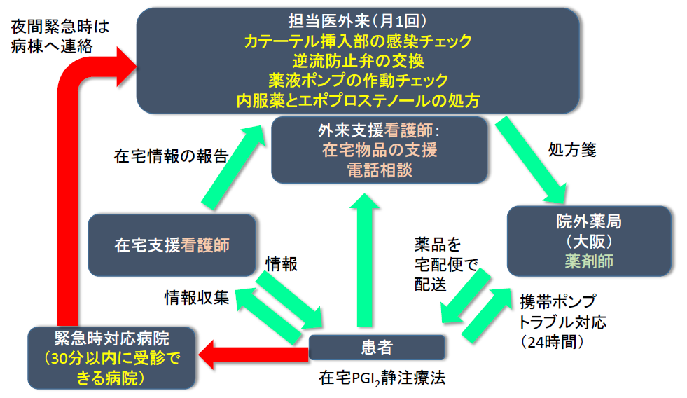 肺高血圧症の臨床分類フロー画像