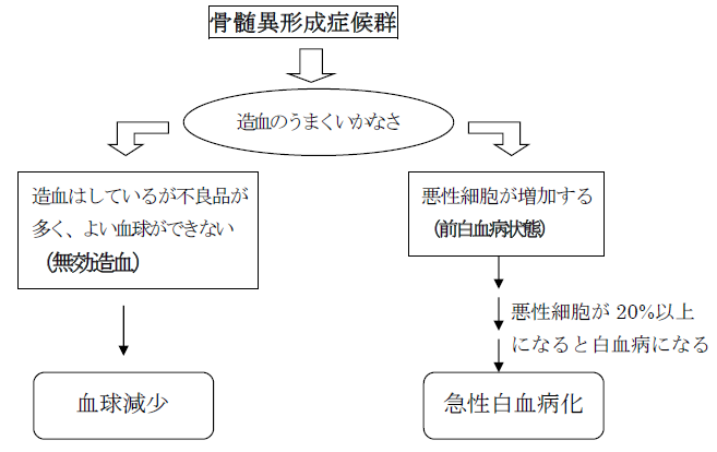 骨髄異形成症候群（MDS）の説明画像