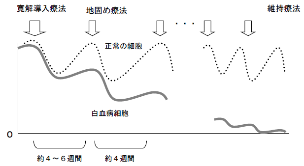 化学療法の曲線グラフ