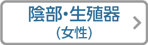 大人の女性陰部・生殖器リンクアイコン