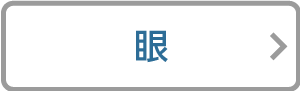 大人の眼リンクアイコン