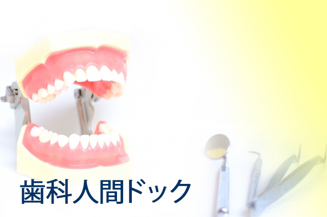 歯科人間ドックへのリンク画像