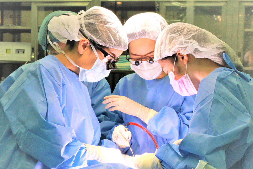 下肢創傷ケアセンターの紹介