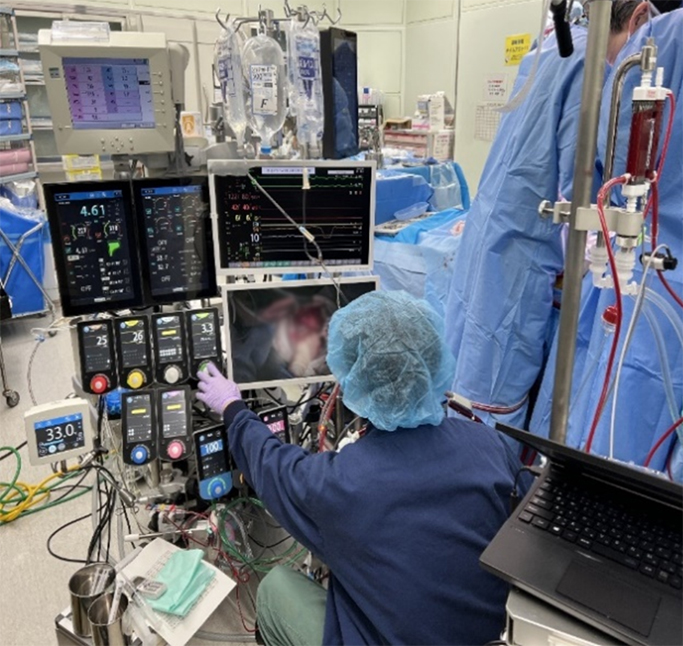 人工心肺業務の様子