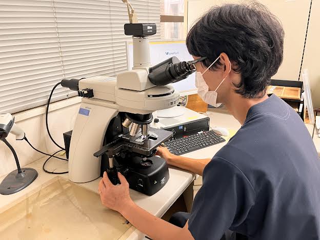 細胞診スクリーニング